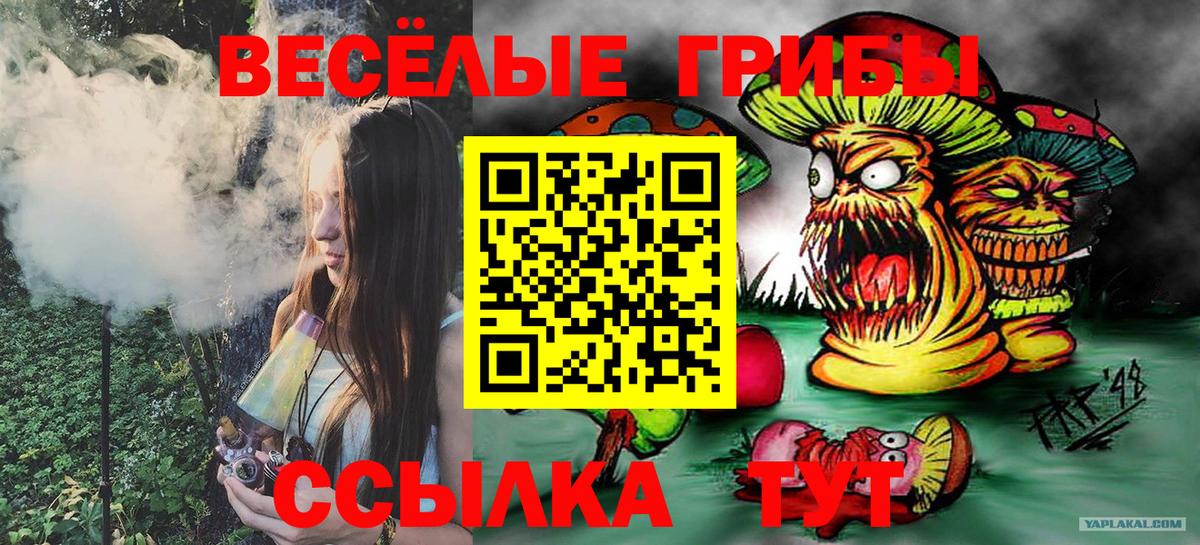 Псилоцибиновые грибы Psilocybe Лысьва