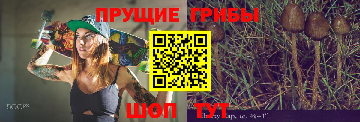 что такое наркотик  Псилоцибиновые грибы MAGIC MUSHROOMS  Вход с VPN  Лысьва 